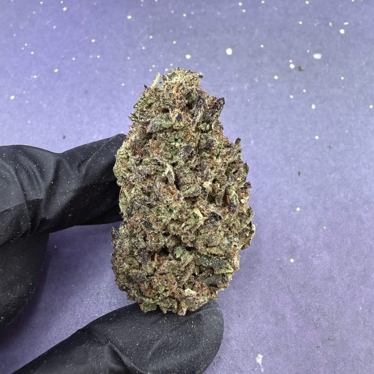 B04 Papaya Punch